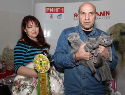   ' -' 30 -1  2013 168_best2_litter_IMG_4552 copy.jpg